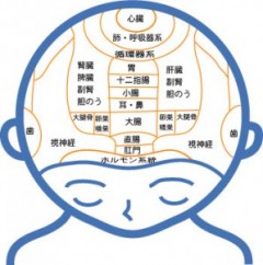 暑い日はヘッドスパ☀️