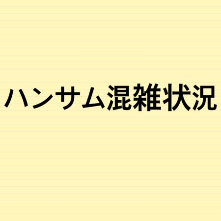 ハンサム混雑状況