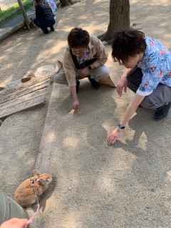 那須の旅！🐤