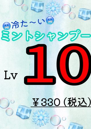 ミントシャンプーLv.10