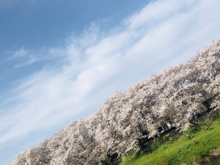 学生 校則 髪型