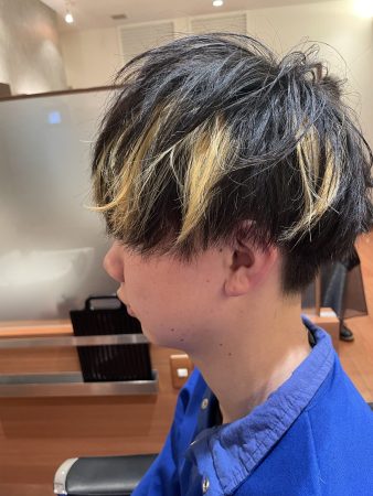 シルバーヘアー