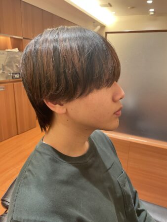 シースルーマッシュ